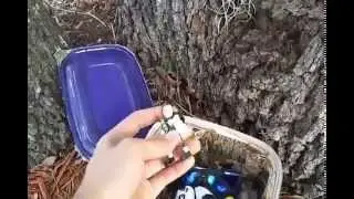 Geocaching Adventure #2 Part 1