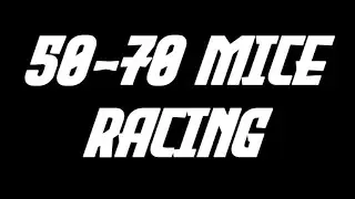 Racing Gameplay #1 (50+ 70+ Mice) || Transformice