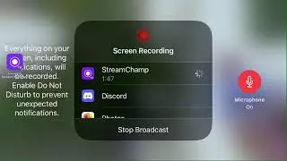 notWolf Live Stream
