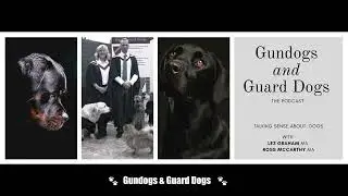 S6E3 A Round Peg in a Round Hole: Dogs4Wildlife with Jacquie Law