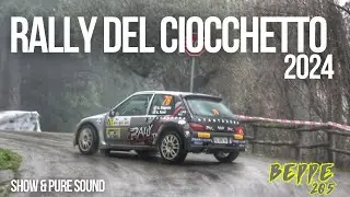 RALLY DEL CIOCCHETTO 2024 SHOW E PURE SOUND