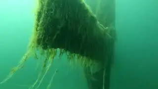Flugzeugwrack und Sonnenbarsch Unterwasser