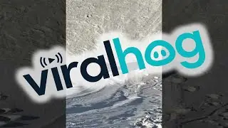 White Sand Sledding Somersault || ViralHog