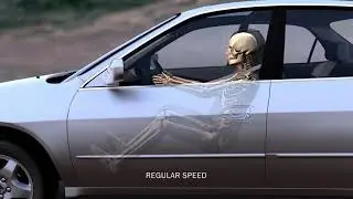 Forensic Animation