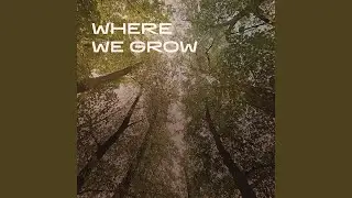 Where we grow