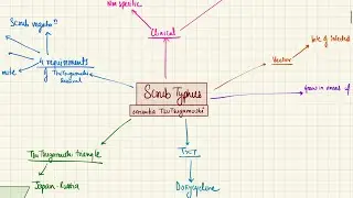 Scrub Typhus | Bloodstream infections | 2nd year MBBS | Microbiology