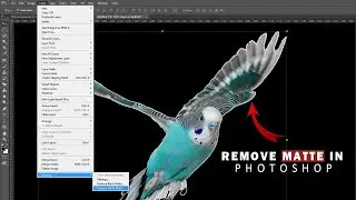 Remove matting photoshop | adobe Photoshop 2023