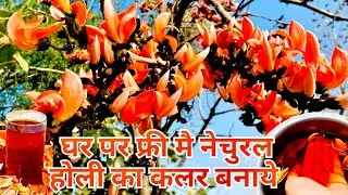 Tesu Se Free Holi Ka Natural Color Banaye | घर पर फ़्री में टेसू के फूल सें होली का कलर बनाये #holi