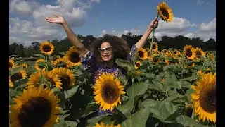 Make Memories At This 300+ Acre Flower Farm In New Jersey | New York Live TV