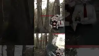 Тонкий юмор #vtuber #weissstille #tts #немой #twitch #alexxa69419 #ioshikaino #huntshowdown #юмор