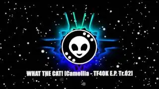 WHAT THE CAT! Camellia   TF40K E P  Tr 02