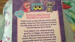 Hidden mistakes in the beanie boo ultimate collectors guide