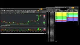Tape SNTI GAP 100 - 2 December 2024