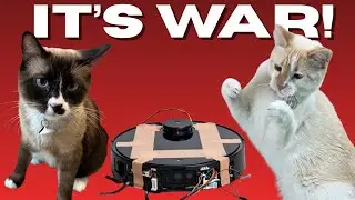 My Cats DESTROYED the Robot Vacuum (Revenge Story)