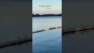 📍 Gananoque, ON ✨ #goldenhour #gananoque #ontario #thousandislands #explore #trending