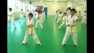 Taekwondo f&uuml;r Kinder in der Sportschule Pyo
