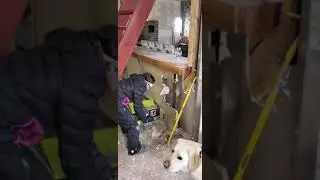 My daughter helping to tear out a wall