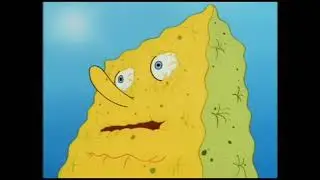 average summer experience