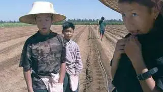 Los Banos