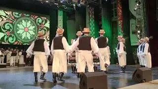 Виорика - Данс де Кодру
