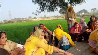 आनंद के भरे खजाने मेरे बाबा के दरबार में ll धौला गुजरी का शानदार गीत ❤️JBM Dhola Gurjari ke Bhajan 