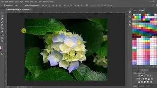 How to get any Hexadecimal color values using Adobe Photoshop.