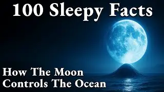 The Most Relaxing Facts About 