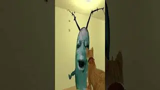 Plankton Nextbot Chasing Me And My Cat In A Tight Hallway 😱🐱(Garry's Mod) #gmod #garrysmod