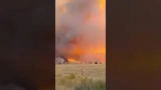 Catastrophic Bushfires Rip Through Australia #shorts