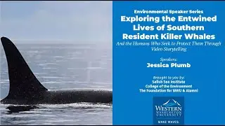 Exploring the Entwined Lives of Southern Resident Killer Whales