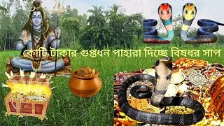 হাজার কোটি টাকার গুপ্তধন পাহারা দিচ্ছে বিষধর সাপ। The discovery of a 1200 years old treasure