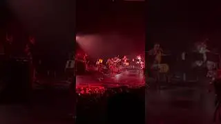 Queens of the age: Spinning in Daffodils