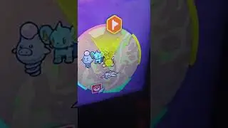 pokemon scarlet how to read map