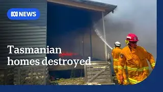 19 homes destroyed in fire at Dolphin Sands, Tasmania | ABC NEWS