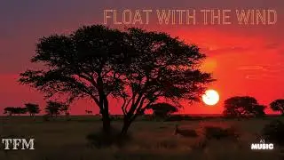 Float with the wind 🍃 | African Relaxing Music & Deep Chillout (2026)