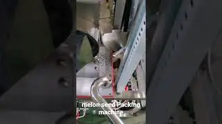 Melon seed 20g packing machine