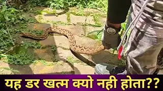 फिरभी अजगर समझते है..कभी तो हमारी सुनो... Please know about snakes..