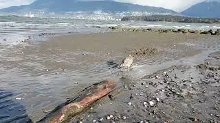 Salt water beach metal detecting md4030. 90 degree target  location  method.