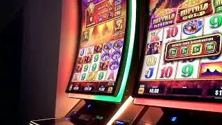 Buffalo Triple Power Slot Machine GREAT WIN Bonus