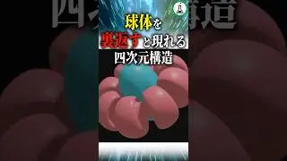球体を裏返すと現れる四次元構造 #科学 #ゆっくり解説 #雑学