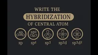 Chemistry Exam Hack: Determine Hybridization in Seconds!!!!1