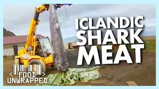 Icelandic Shark Meat Delicacy Makes Jimmy Gag! | Food Unwrapped
