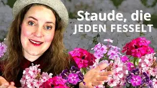 Diese Pflanze zieht die Blicke magisch an!