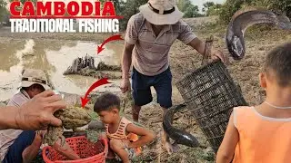 Cambodia Traditional Fishing | Big Fish Trap Catch in Village Pond