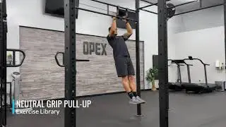 Neutral Grip Pull-Up