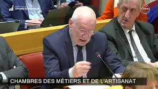 Audition de Jo&euml;l Fourny, pr&eacute;sident des CMA