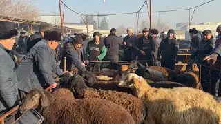QUQON QUY BOZORI NARXAR QAYTDI AKALAR BOZOR SINDI 13 01 2025 SESHANBA