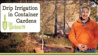 Drip Irrigation Basics - Container Gardening