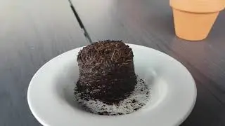 Klavertje 4 planten