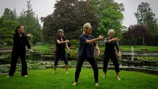 Long Form Lessons, Flat Fist and Cut and Turn Body ,White Snake Sticks out Tongue